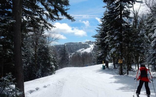 4 Br: Shamrock 28
