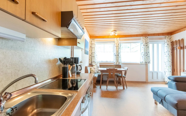 Appealing apartment in Bramberg with garden