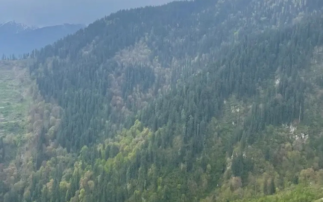 The VOID - Tirthan Valley