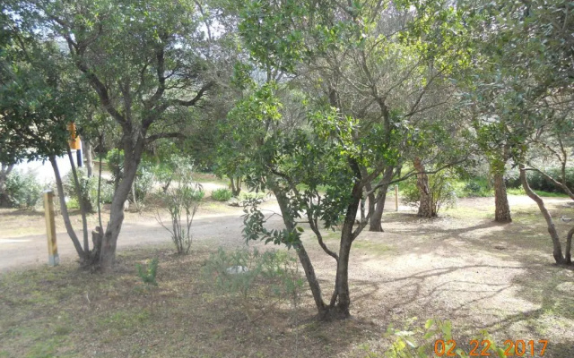 Chambres La Falcia - Figari - Corse Du Sud
