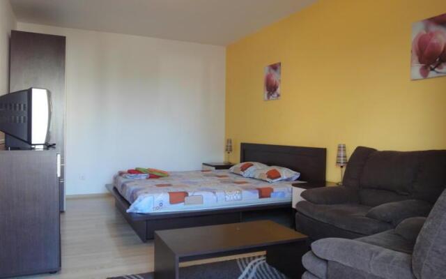 Confort Accommodation Apartments - 13 Septembrie