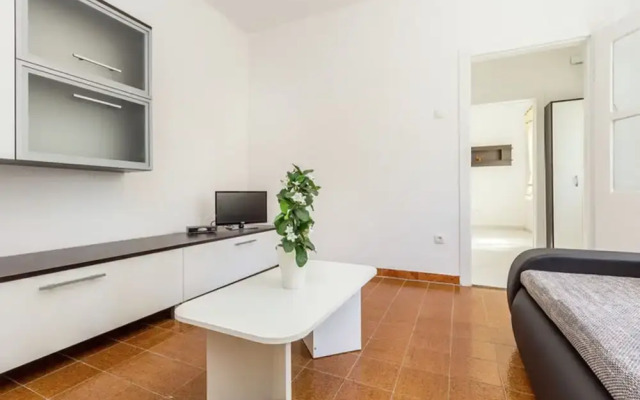 Apartment With Terrace and Pet-friendly