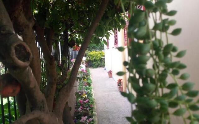 Green Garden