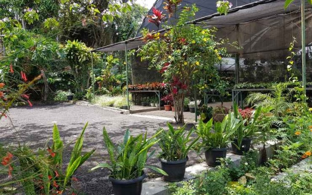 Villa Saung Kebon Ciwidey