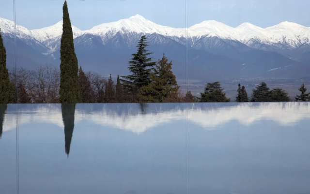 Tsinandali Estate, a Radisson Collection Hotel