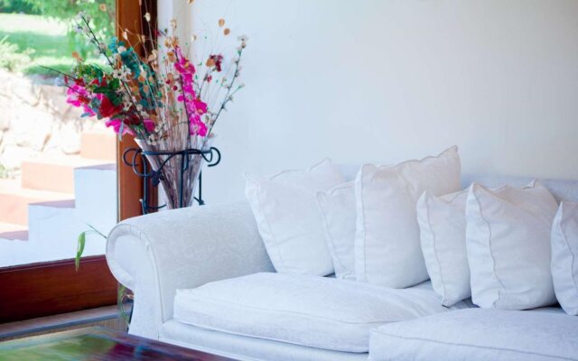 Mizizi House of Sandton Bed & Breakfast