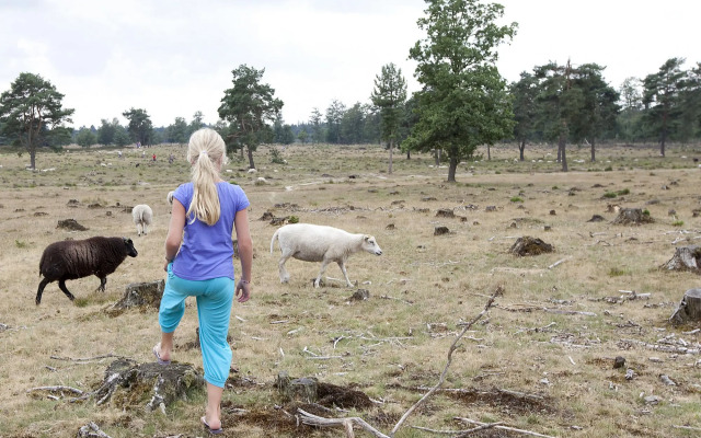 Thatched Villa With 2 Bathrooms Near Appelscha