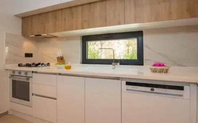 Asfiya Loft