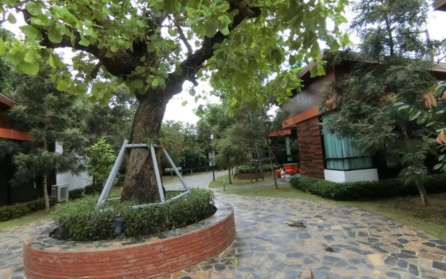 The Rabbit Home