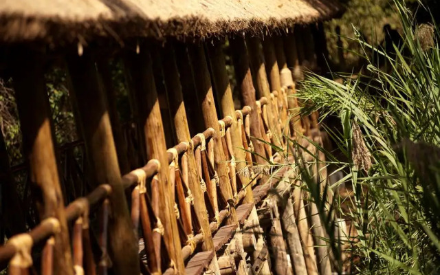 Jambo Impala Ecolodge