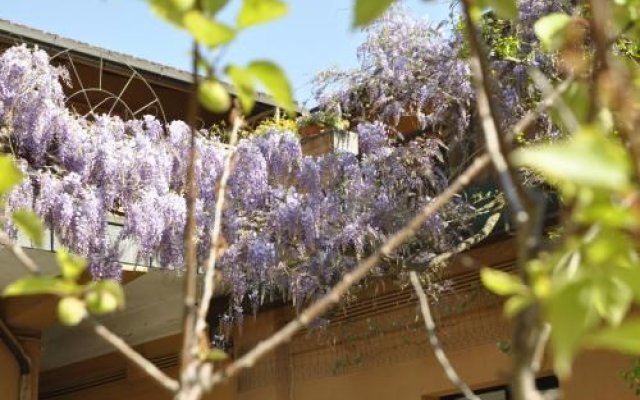 La Terrazza in Conti Biglia