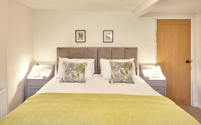Host Stay Green Willow