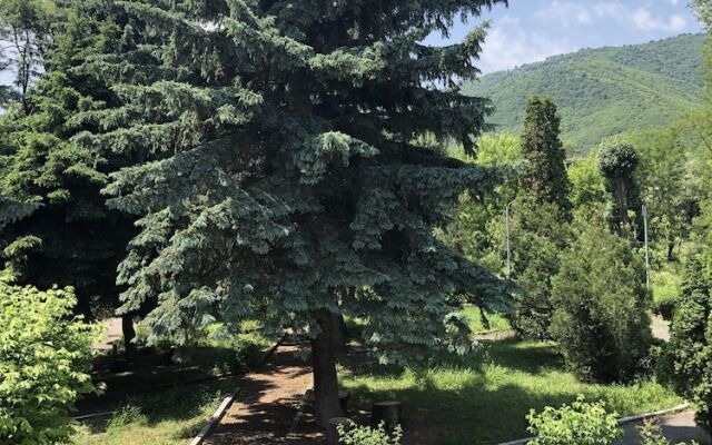 Vanadzor Armenia Health Resort