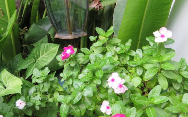 The Little Garden Boutique Hotel