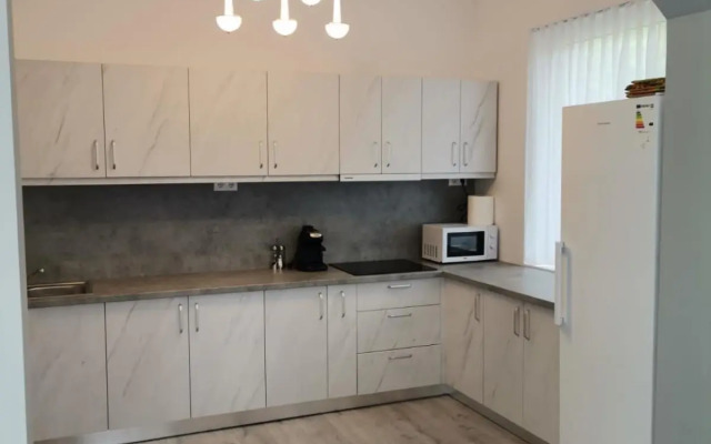 Vila President Sovata