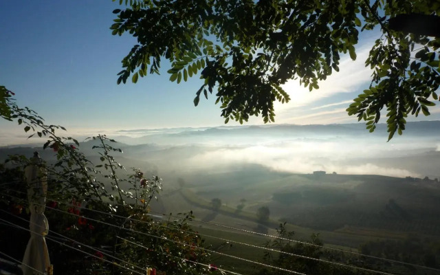La Vigna Del Parroco