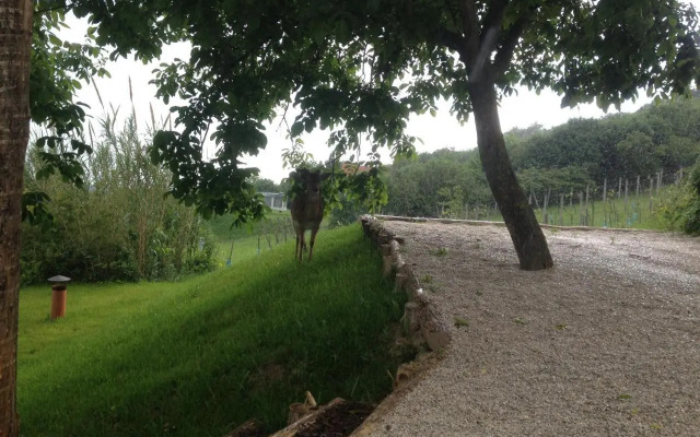 Balaton View Residence