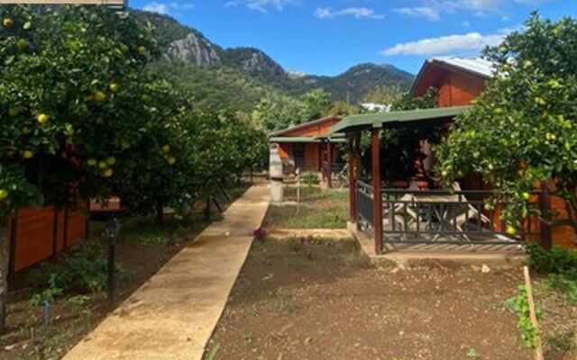 Cirali Anka Apart Bungalov