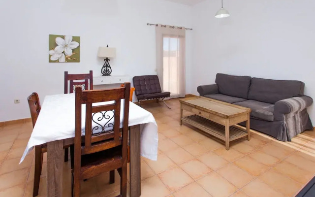 Anahi Home Dracaena 2