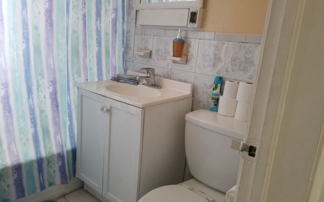 Walk in the heart of Wynwood