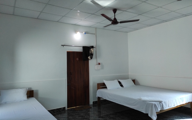 Homocation Falcon Jungle Resort