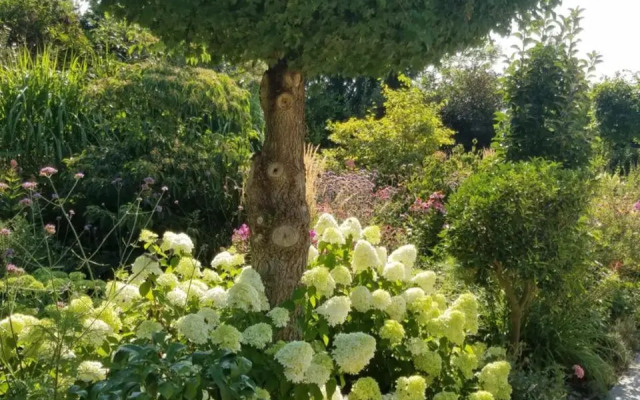 Webergarten