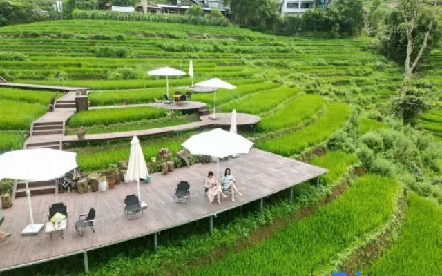 MT House SaPa