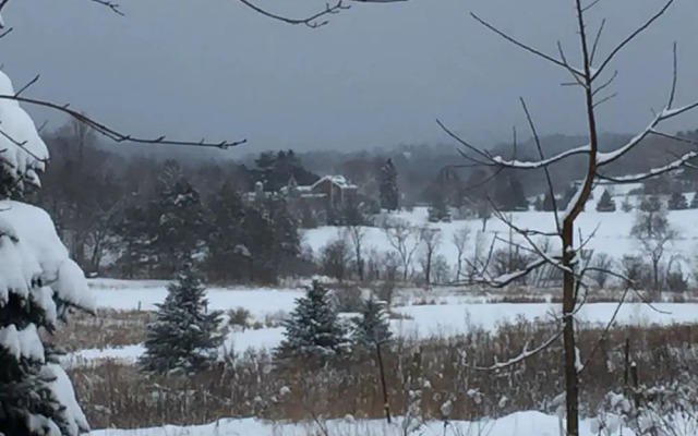 Bryn Meadow Farm and B&B