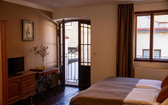 Hotel Svamberský Dum