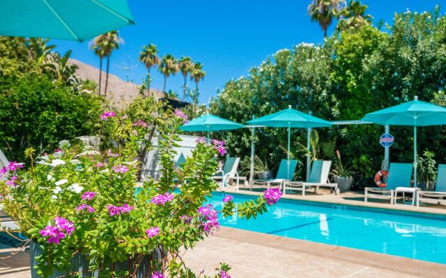 BelleVue Oasis-Palm Springs - Adults Only