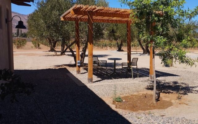 Alma Liebre Viñedos del Valle