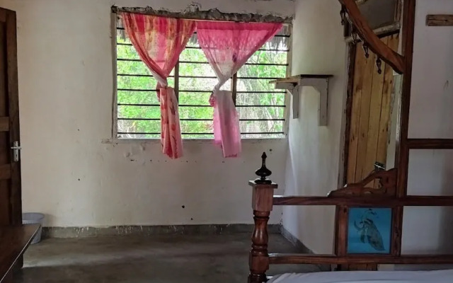 Mida Creek Eco Camp