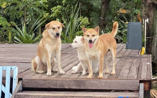 Changfeng Guesthouse (Weizhou Island Seaview Chalet)