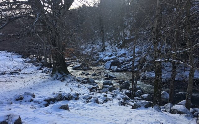 L'Etape de Dourbies en Cévennes