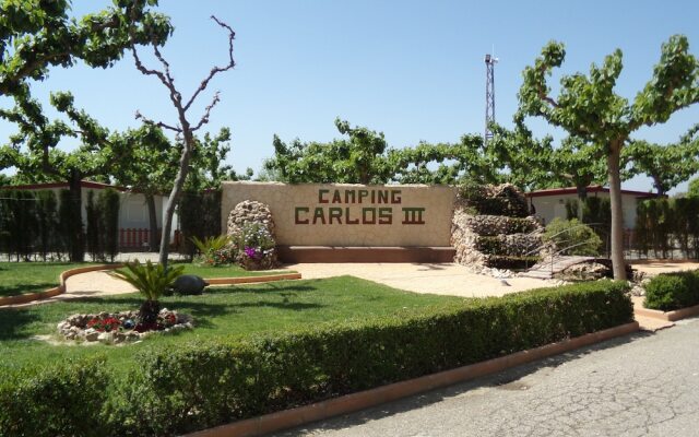 Camping Carlos III