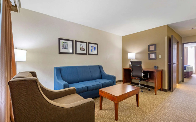 Comfort Suites Fredericksburg South