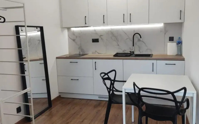 Komfortowe studio w centrum miasta nr 1