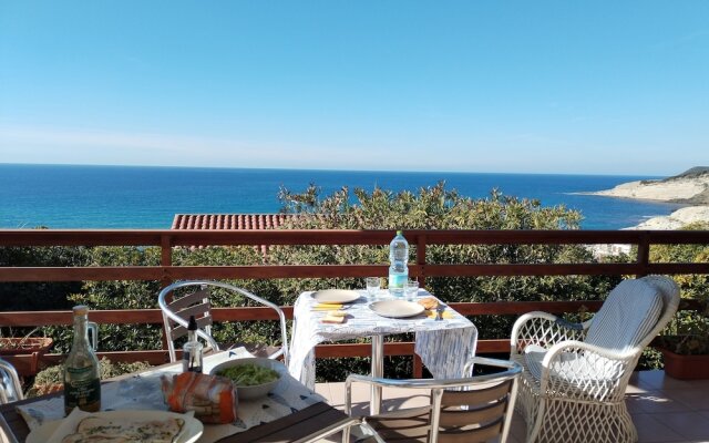 a Vacation That Becomes a Dream