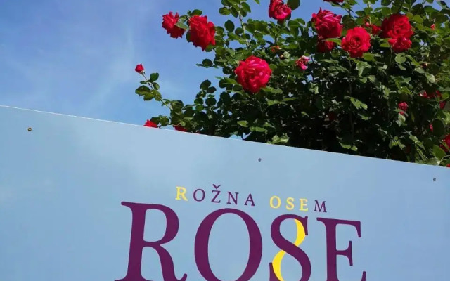 Rose 8 Bled