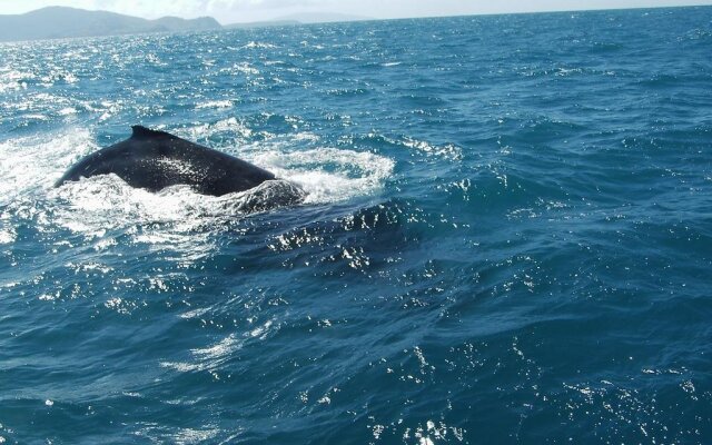 St Bees Island Resort