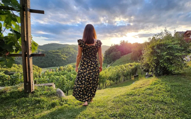 Vineyard cottage Podrzaj
