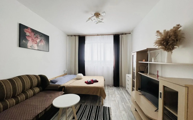 Апартаменты на улице Старостина 53