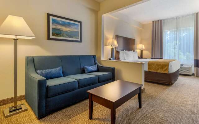 Comfort Suites Gastonia - Charlotte