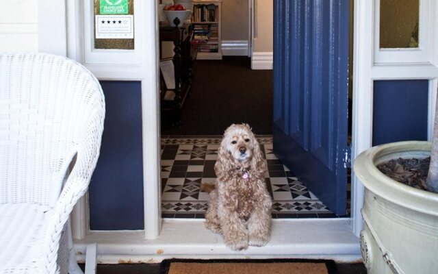 Melba House Boutique B&B