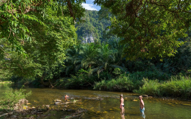 Our Jungle Camp - Eco Resort