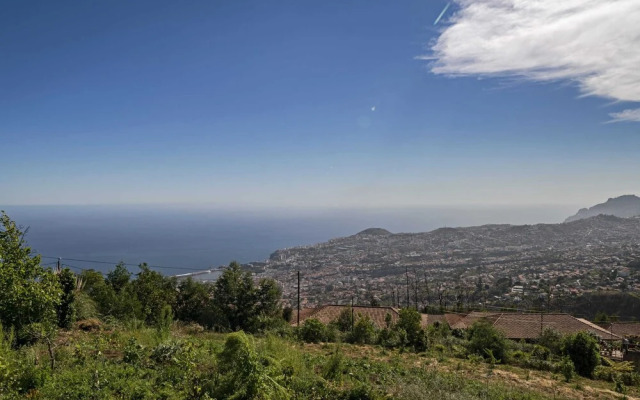 Quinta Devónia III - Nogueira by An Island Apart