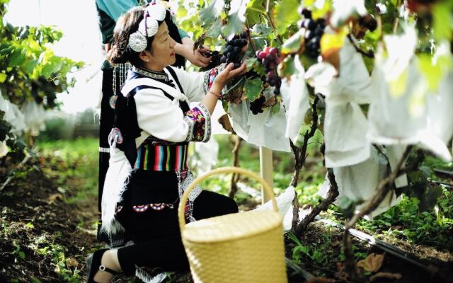 LUX Tea Horse Road Da Ju Village