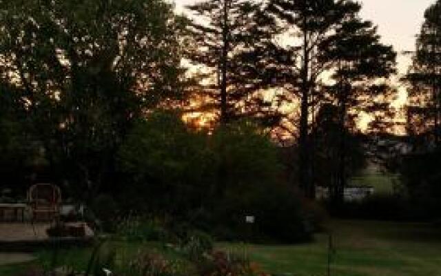 Wild Berry Guest Farm