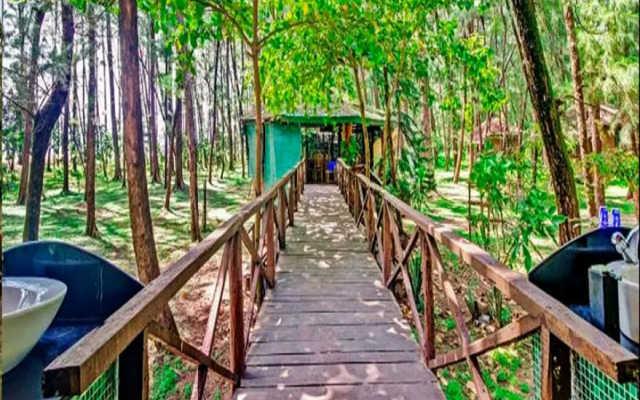 Devbagh beach resort - Junglelodges