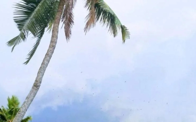 Vijaya Varma Beach Resort